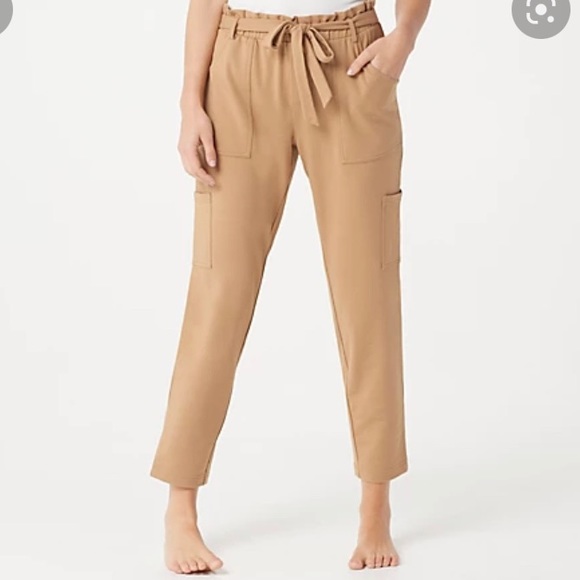 AnyBody Regular French Terry Pants with Paperbag Waist in Khaki, size medium - Picture 1 of 6